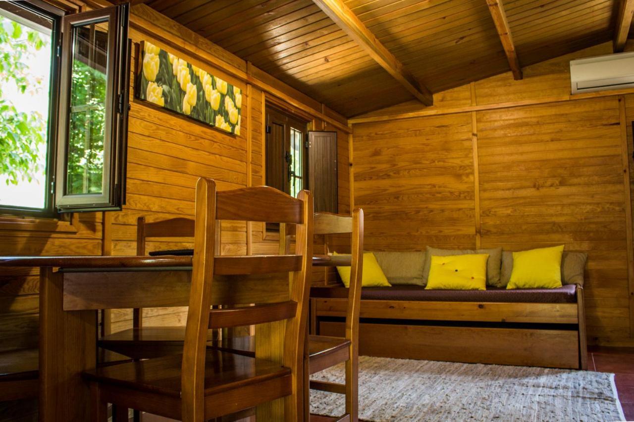 Xisto Camping Janeiro de Baixo المظهر الخارجي الصورة