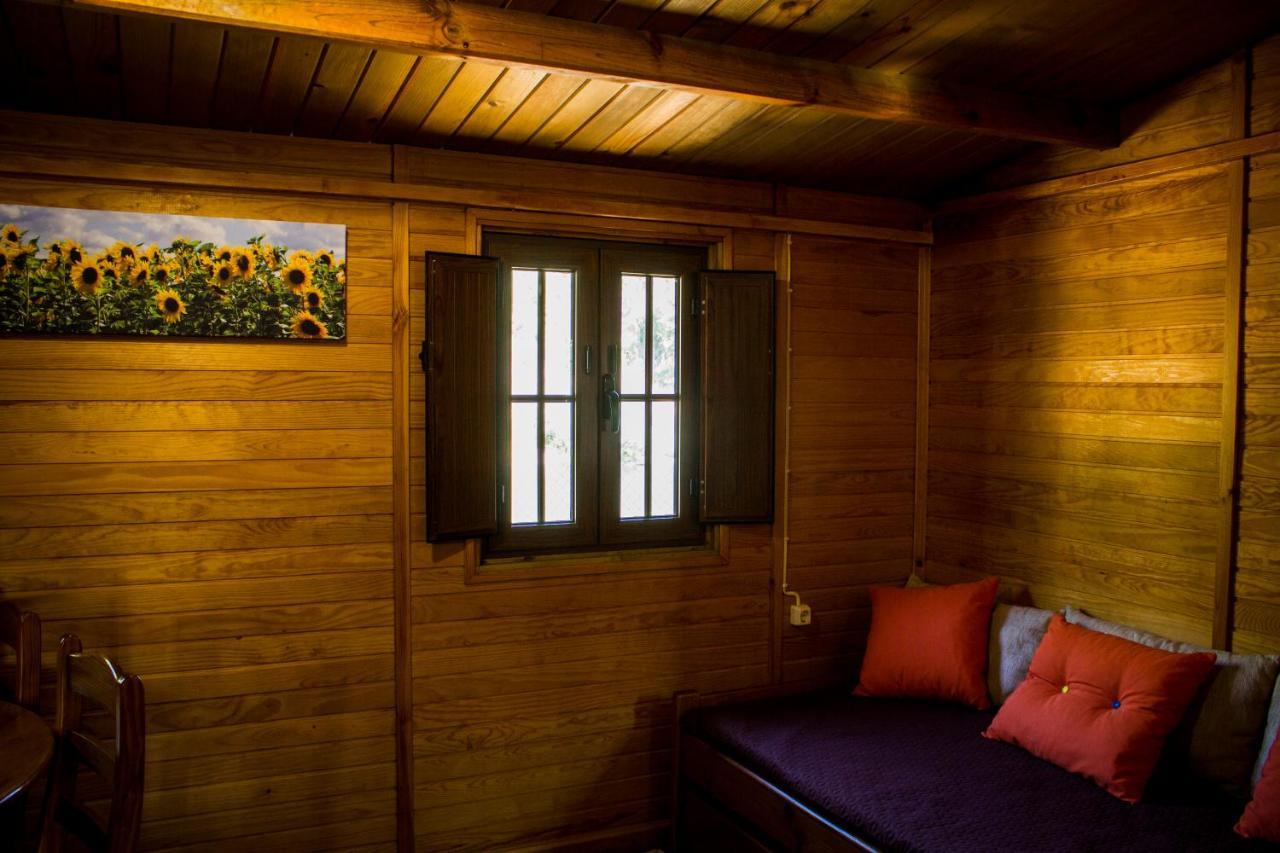 Xisto Camping Janeiro de Baixo المظهر الخارجي الصورة