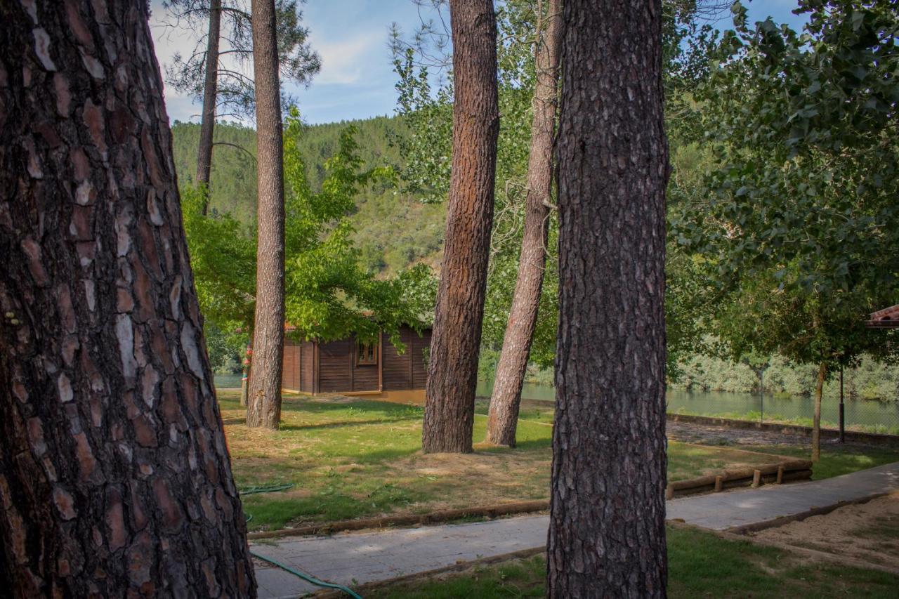 Xisto Camping Janeiro de Baixo المظهر الخارجي الصورة